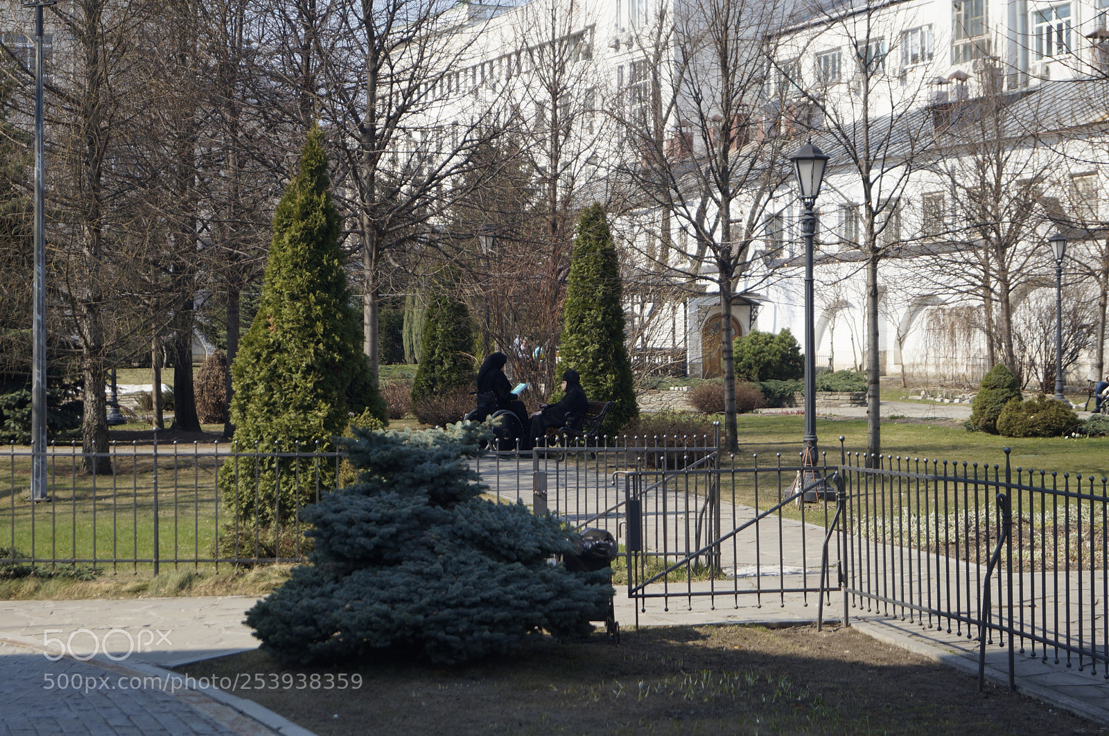 Sony SLT-A57 sample photo. Untitled photography
