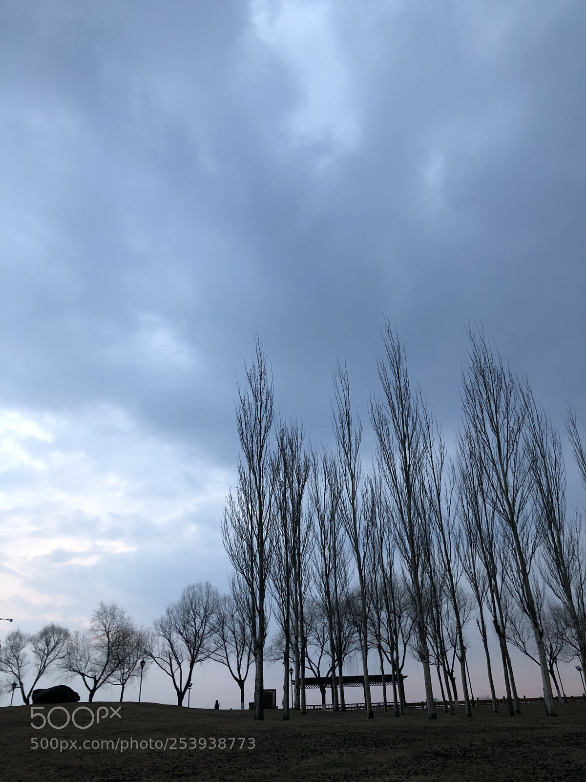 Apple iPhone X sample photo. Night time photography