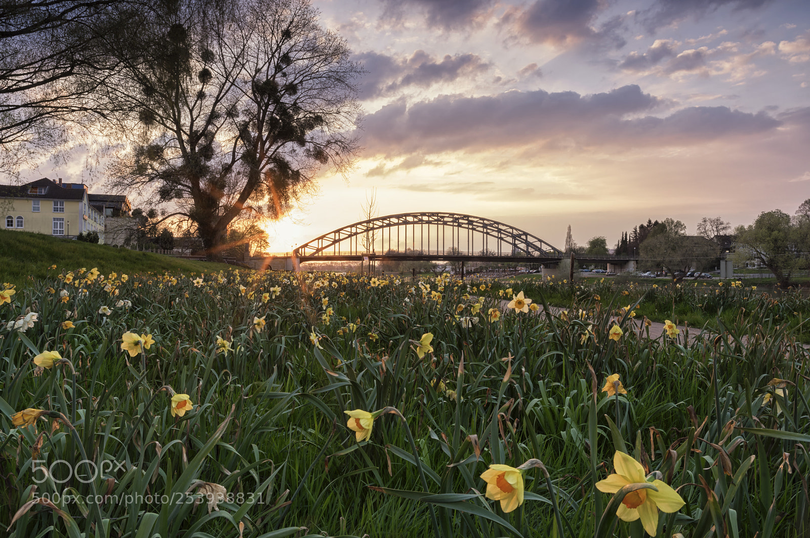 Pentax K-3 II sample photo. Spring sunset photography