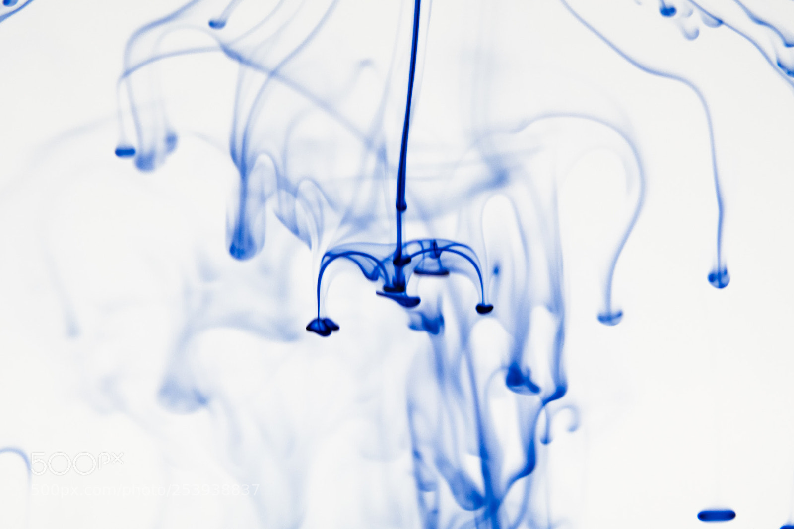 Nikon D7500 sample photo. Blue ink photography