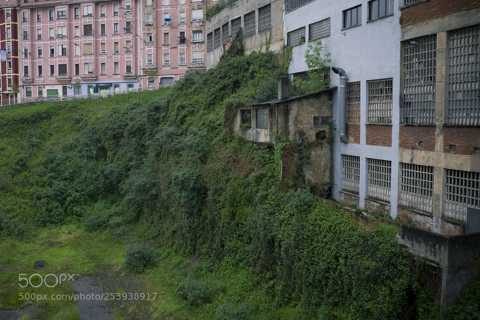 Fujifilm X-T1 sample photo. Non dicam vivo ego photography