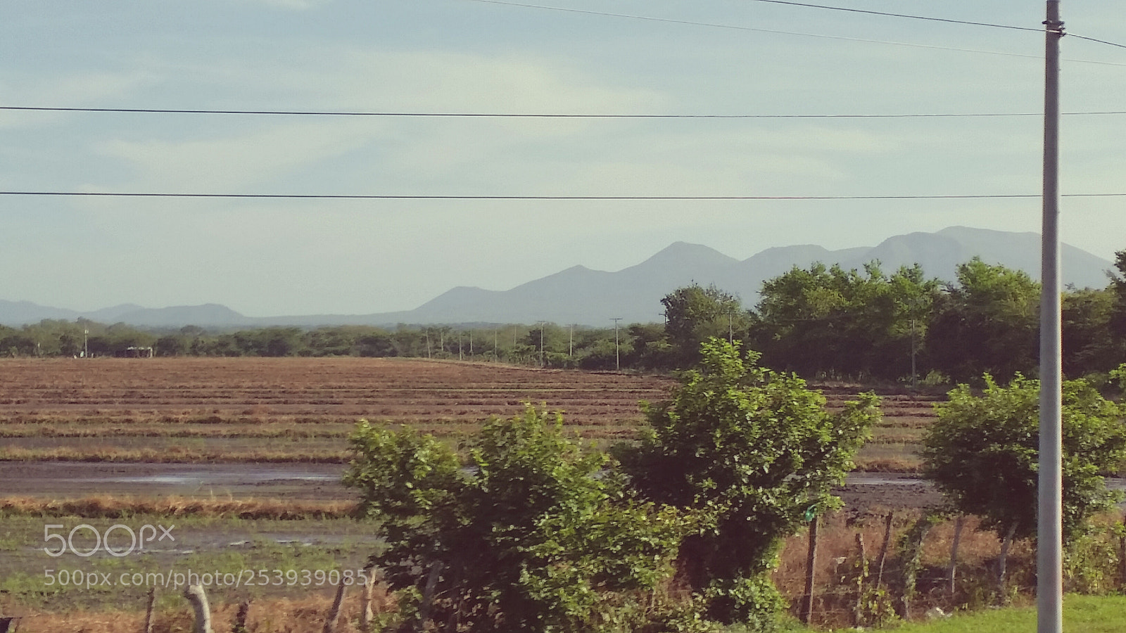 Samsung Galaxy S5 sample photo. Out the bus window photography
