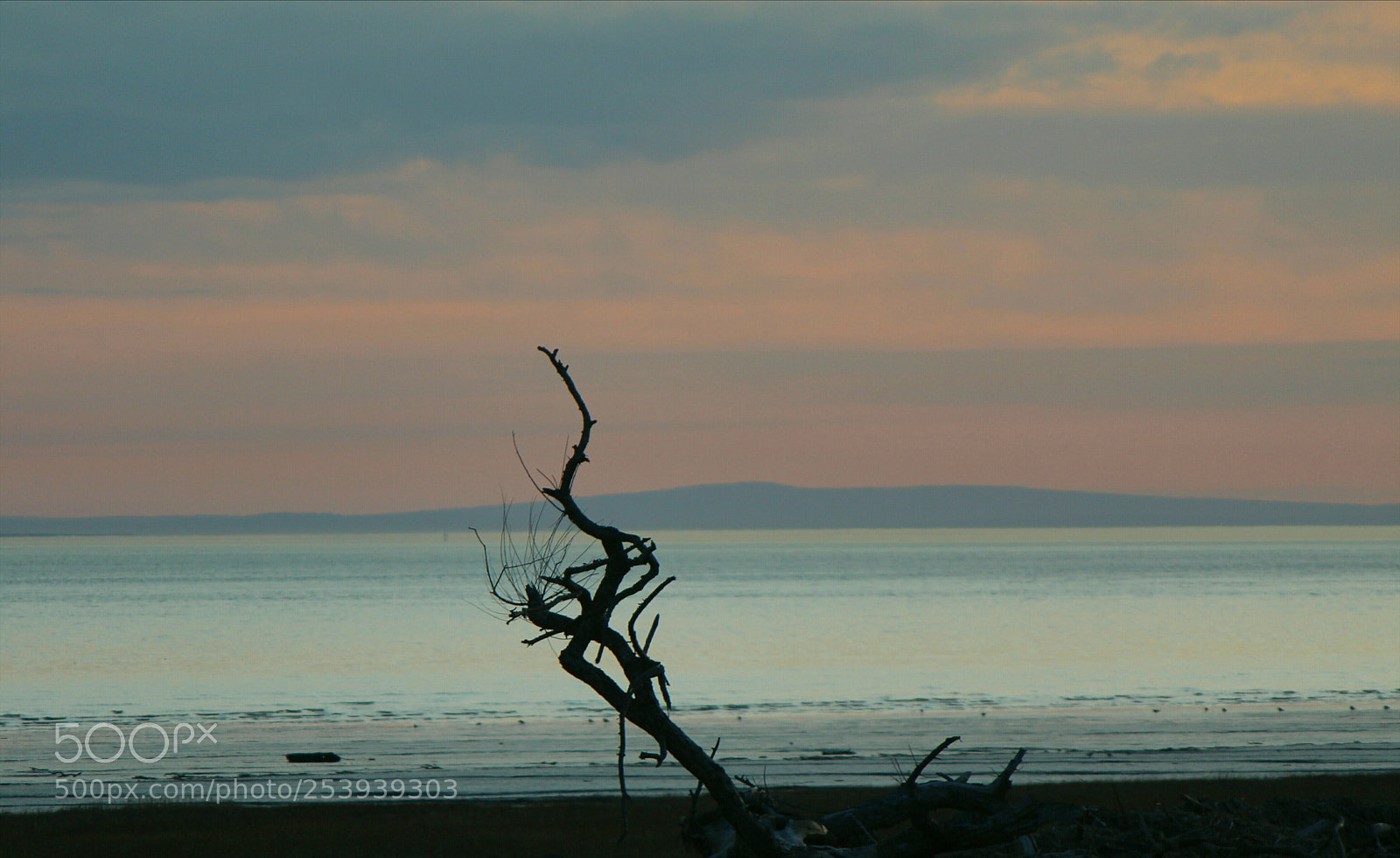 Canon EOS 1300D (EOS Rebel T6 / EOS Kiss X80) sample photo. Silhouette photography