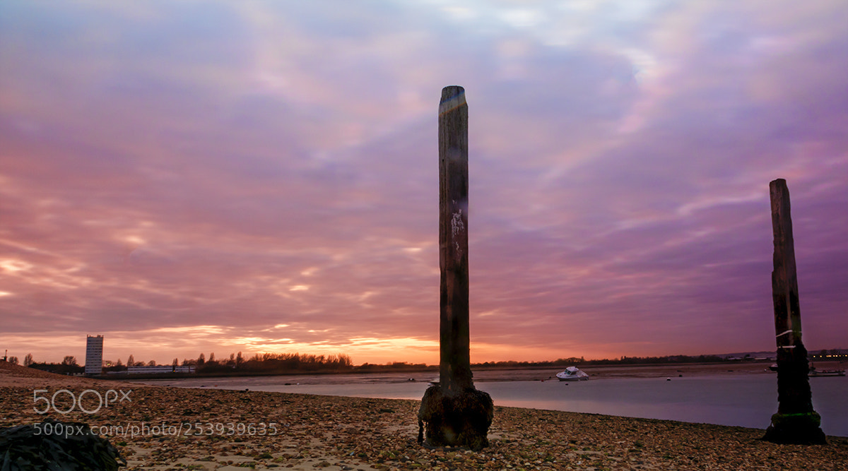 Sony ILCA-77M2 sample photo. Standing together photography