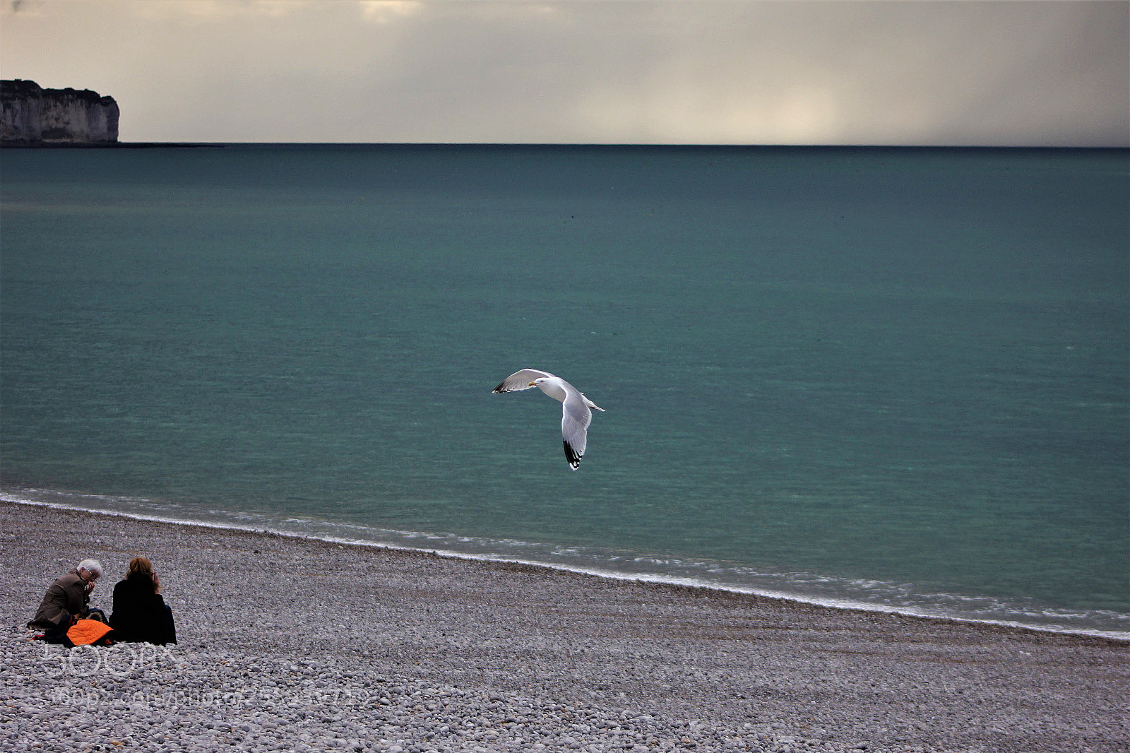 Canon EOS 60D sample photo. Photo modestement reussie mais photography