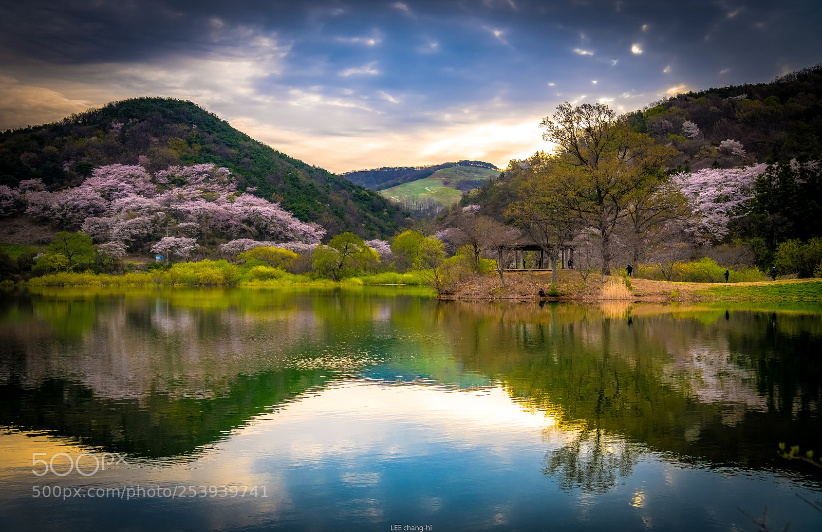 Nikon D810 sample photo. Spring morning photography