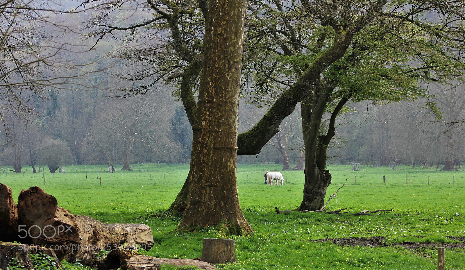 Canon EOS 60D sample photo. Tout est dans le photography