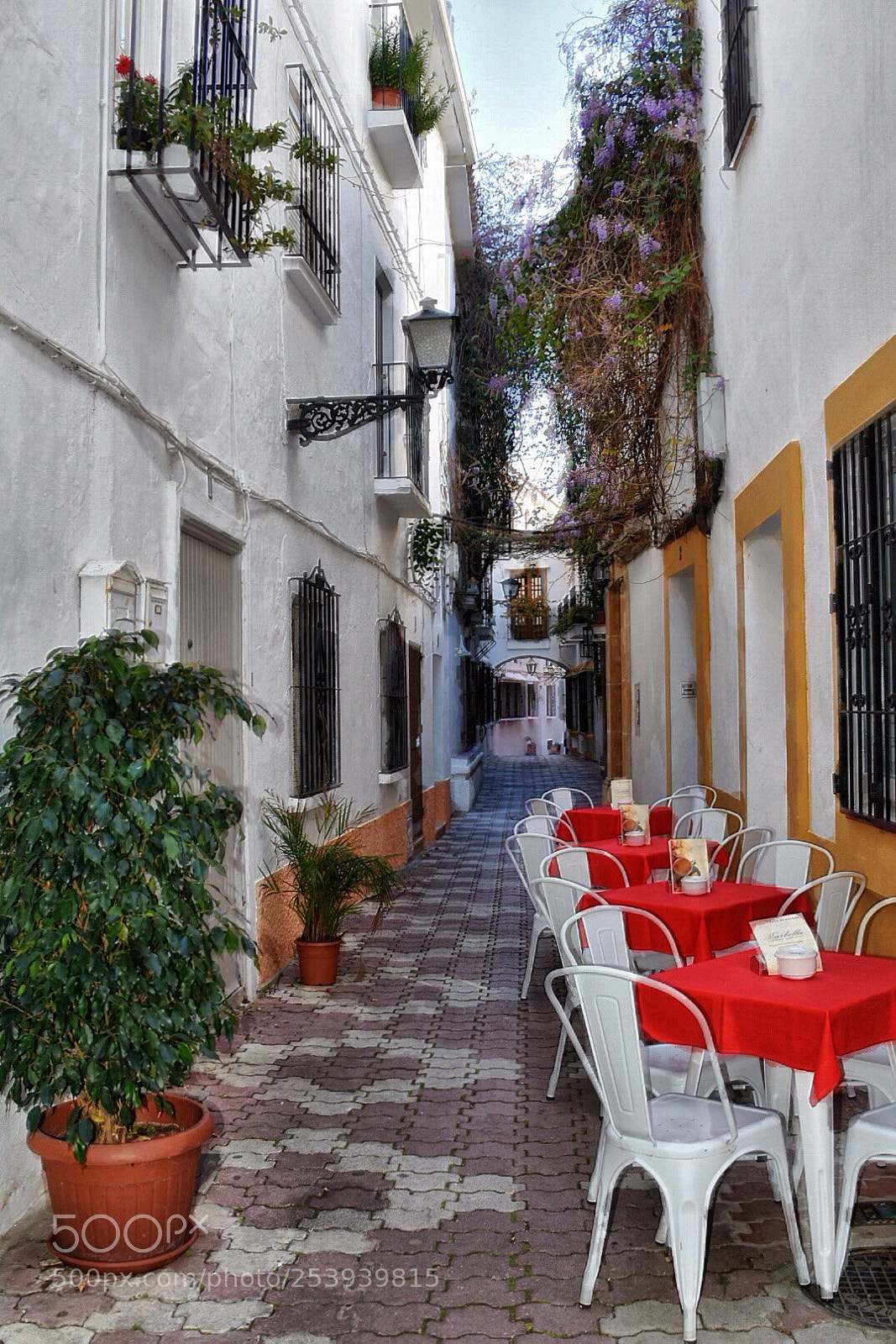 Nikon D7200 sample photo. An alley. photography