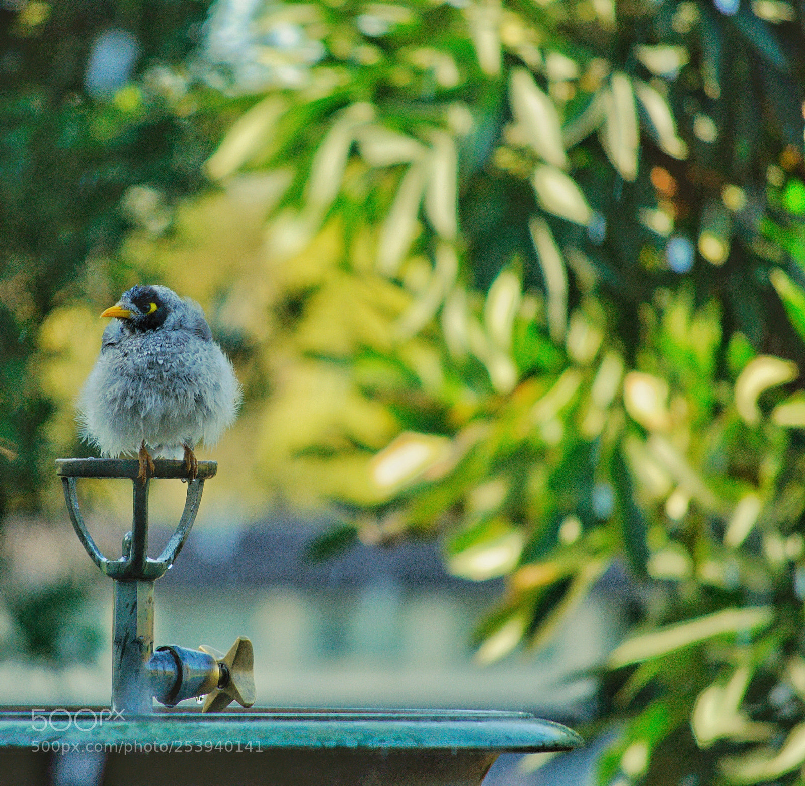 Nikon D5000 sample photo. Fresh out of the photography