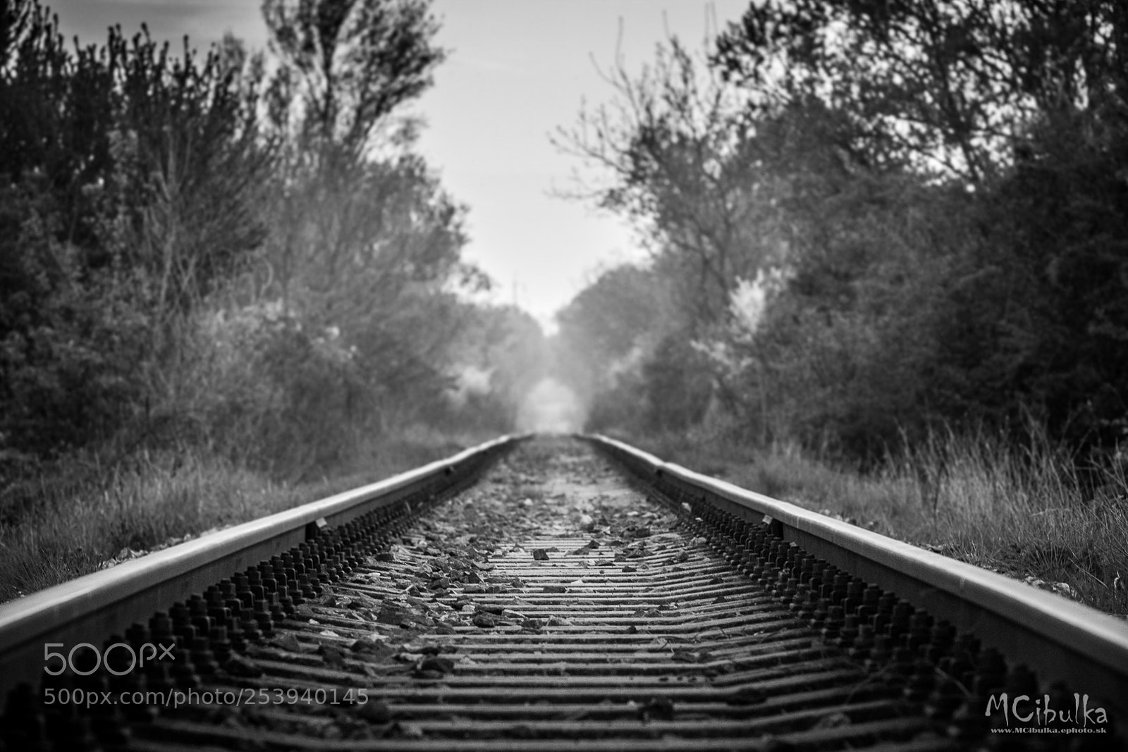 Canon EOS 60D sample photo. Railway photography