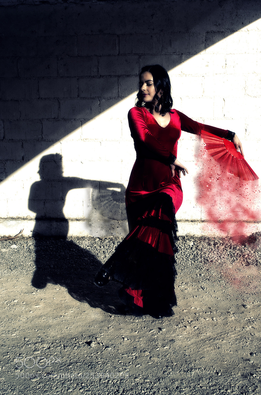 Nikon D5100 sample photo. Flamenco beauty photography