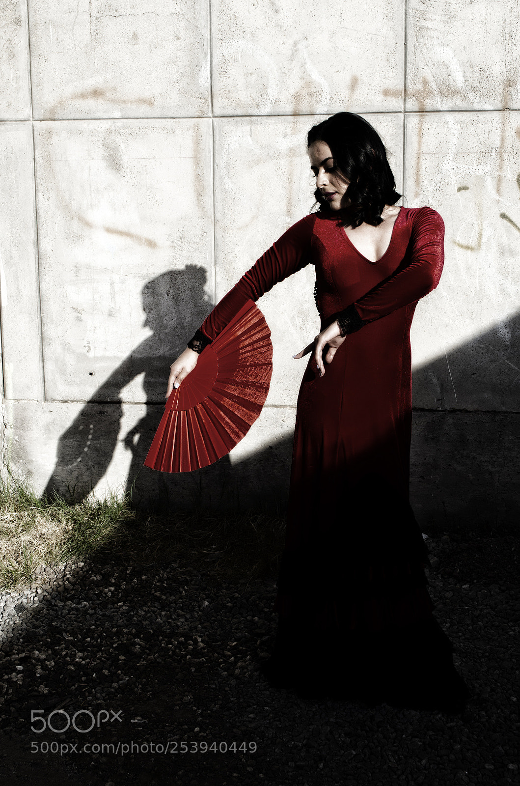 Nikon D5100 sample photo. Flamenco beauty photography