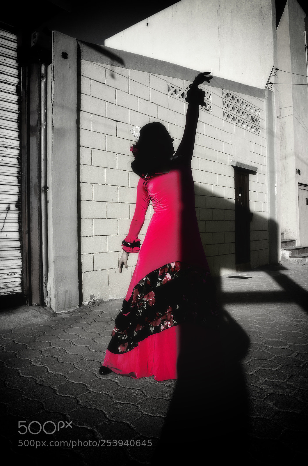 Nikon D5100 sample photo. Flamenco beauty photography