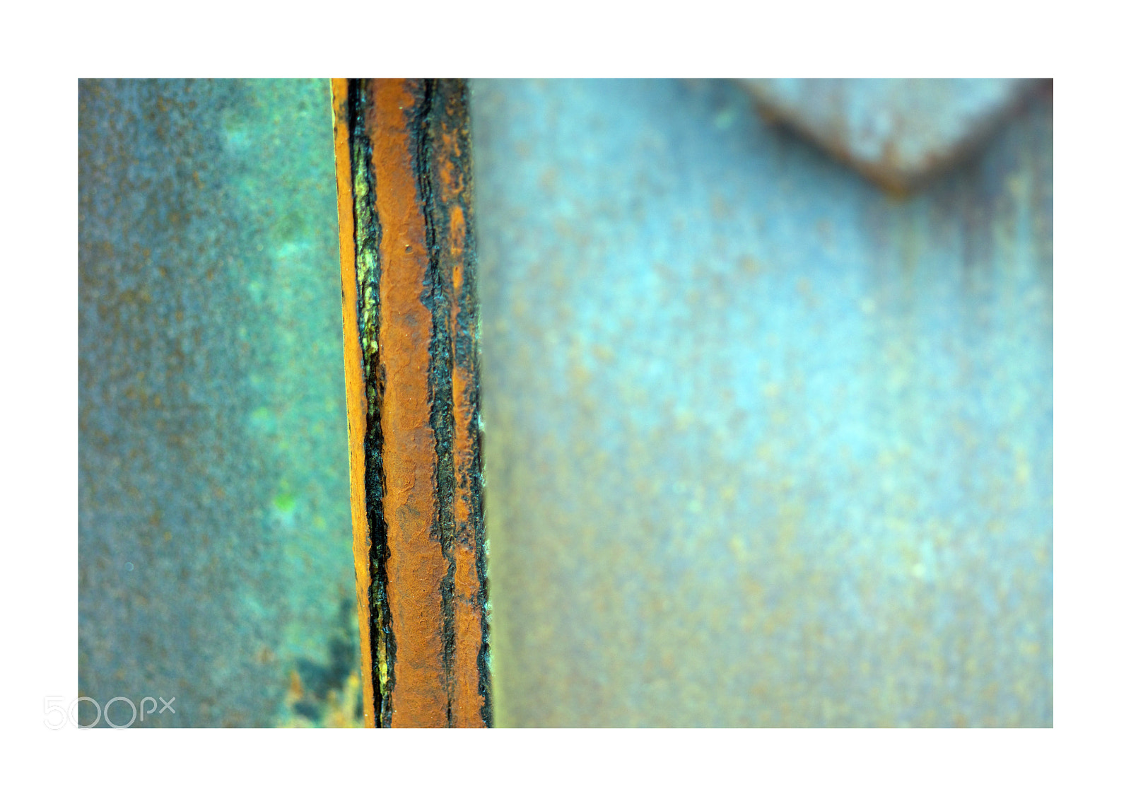Nikon D7200 sample photo. Rust: samphire hoe photography