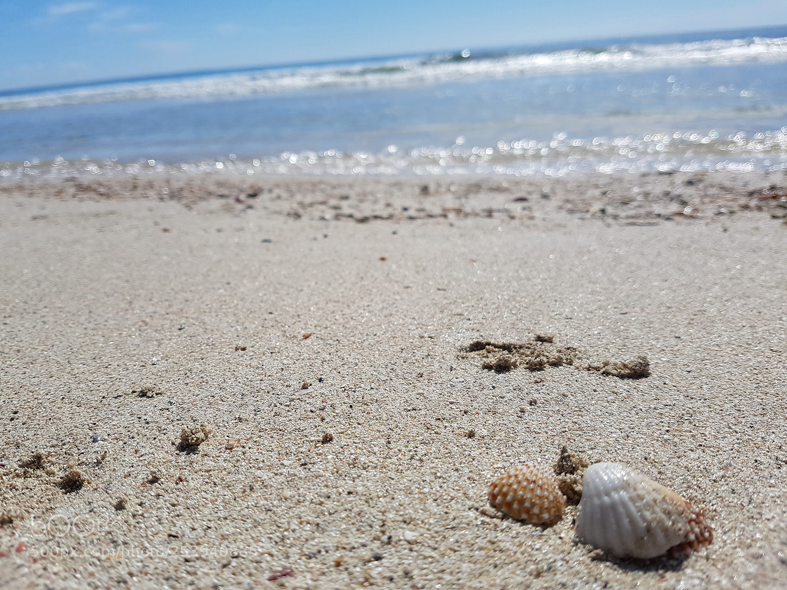 Samsung Galaxy S7 sample photo. Untitled photography