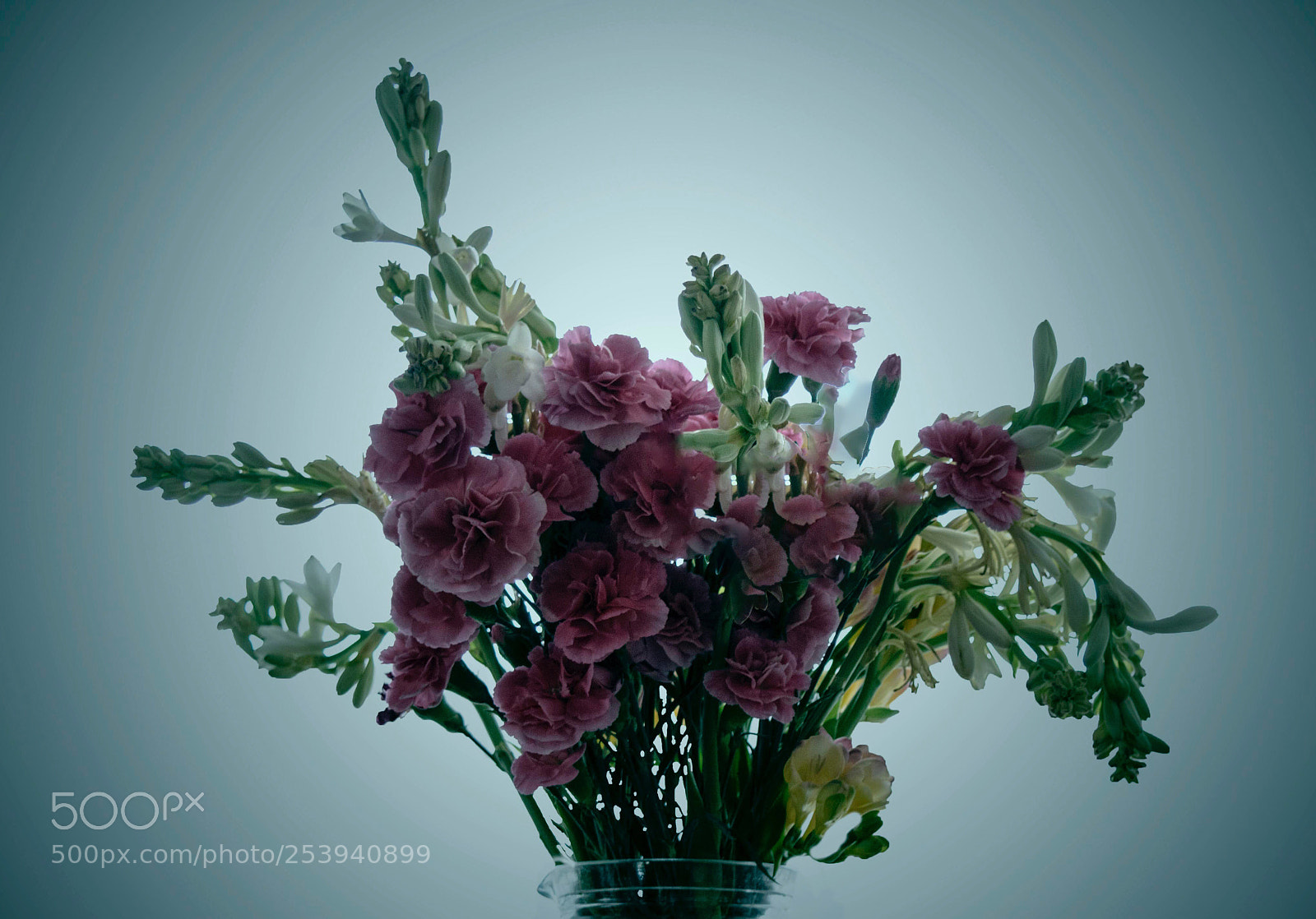 Nikon D3300 sample photo. Untitled photography