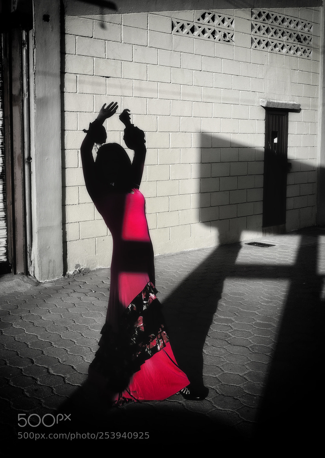 Nikon D5100 sample photo. Flamenco beauty photography
