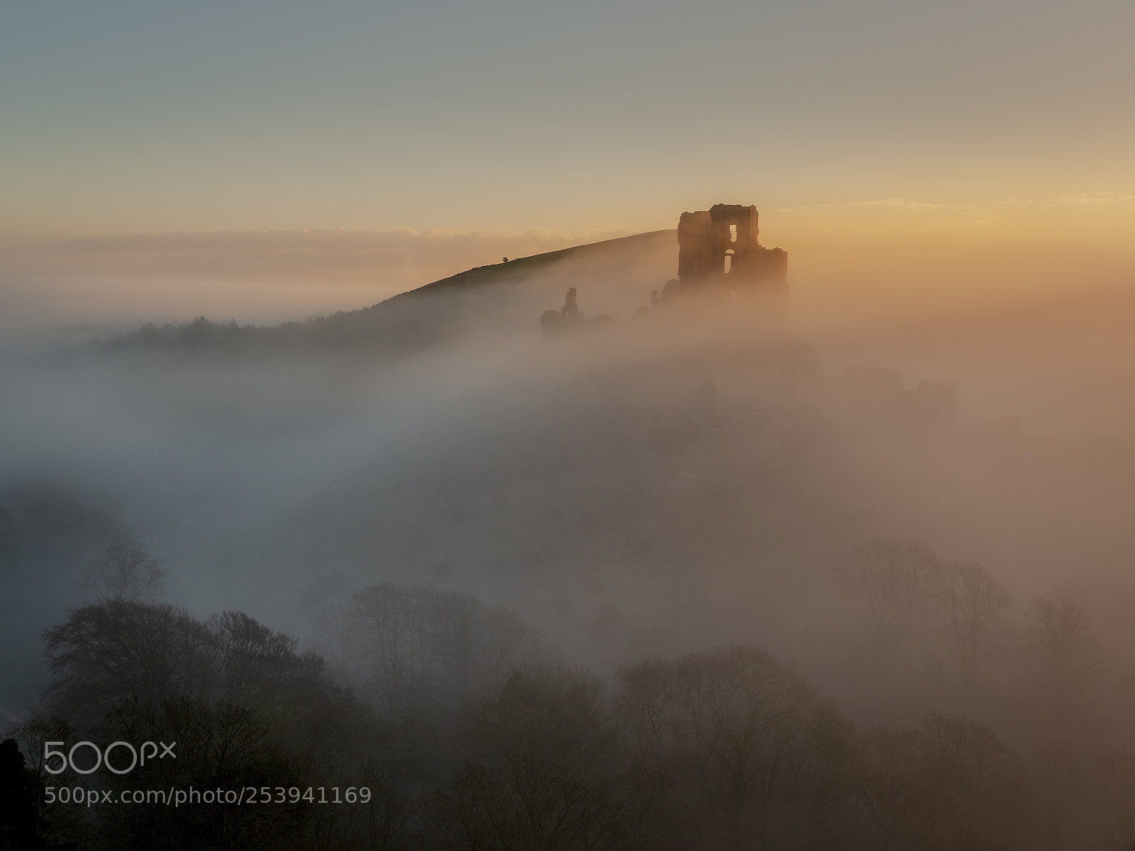 Nikon D800 sample photo. Through the mist photography