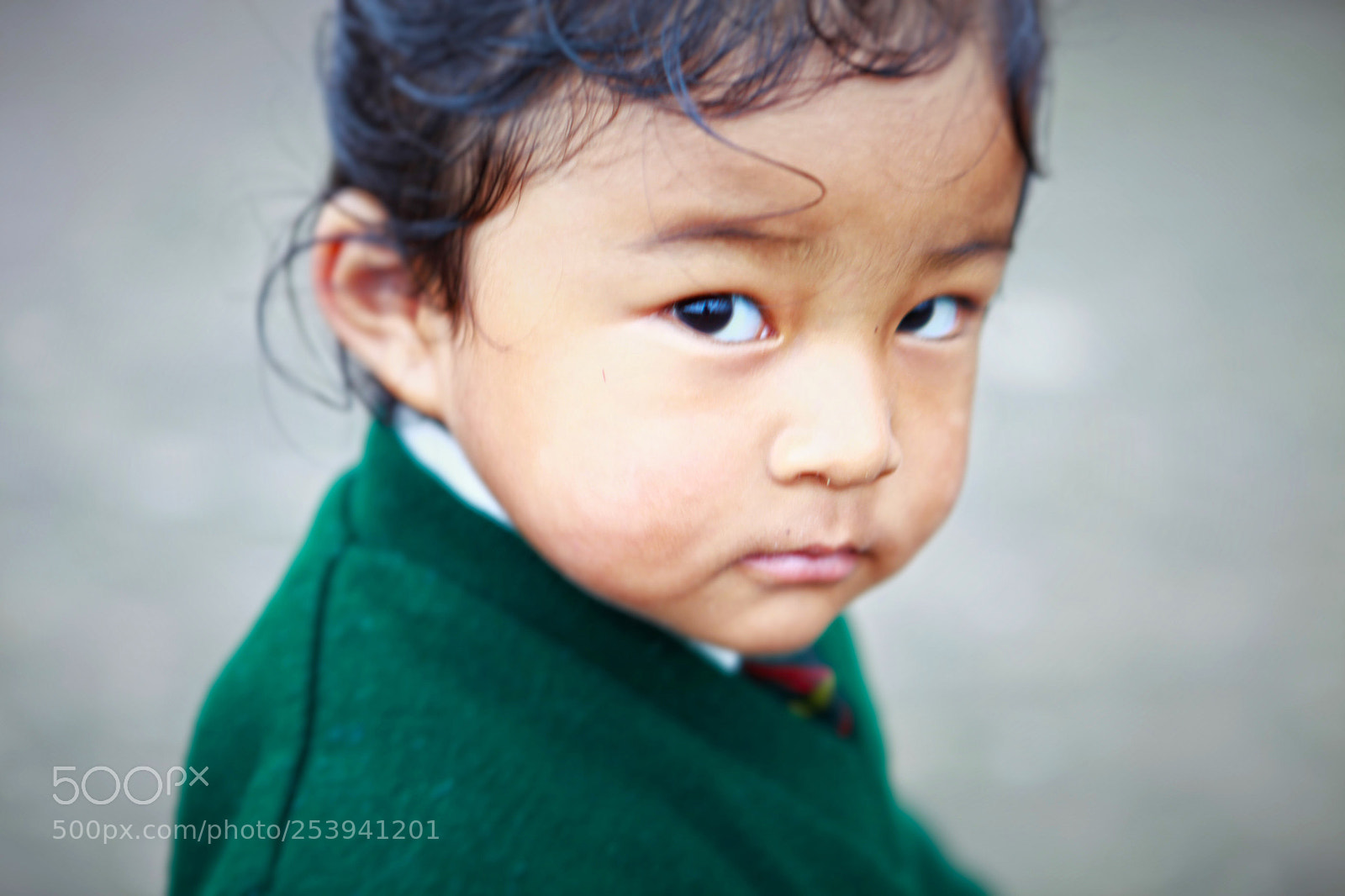 Canon EOS 5D Mark II sample photo. I will survive photography
