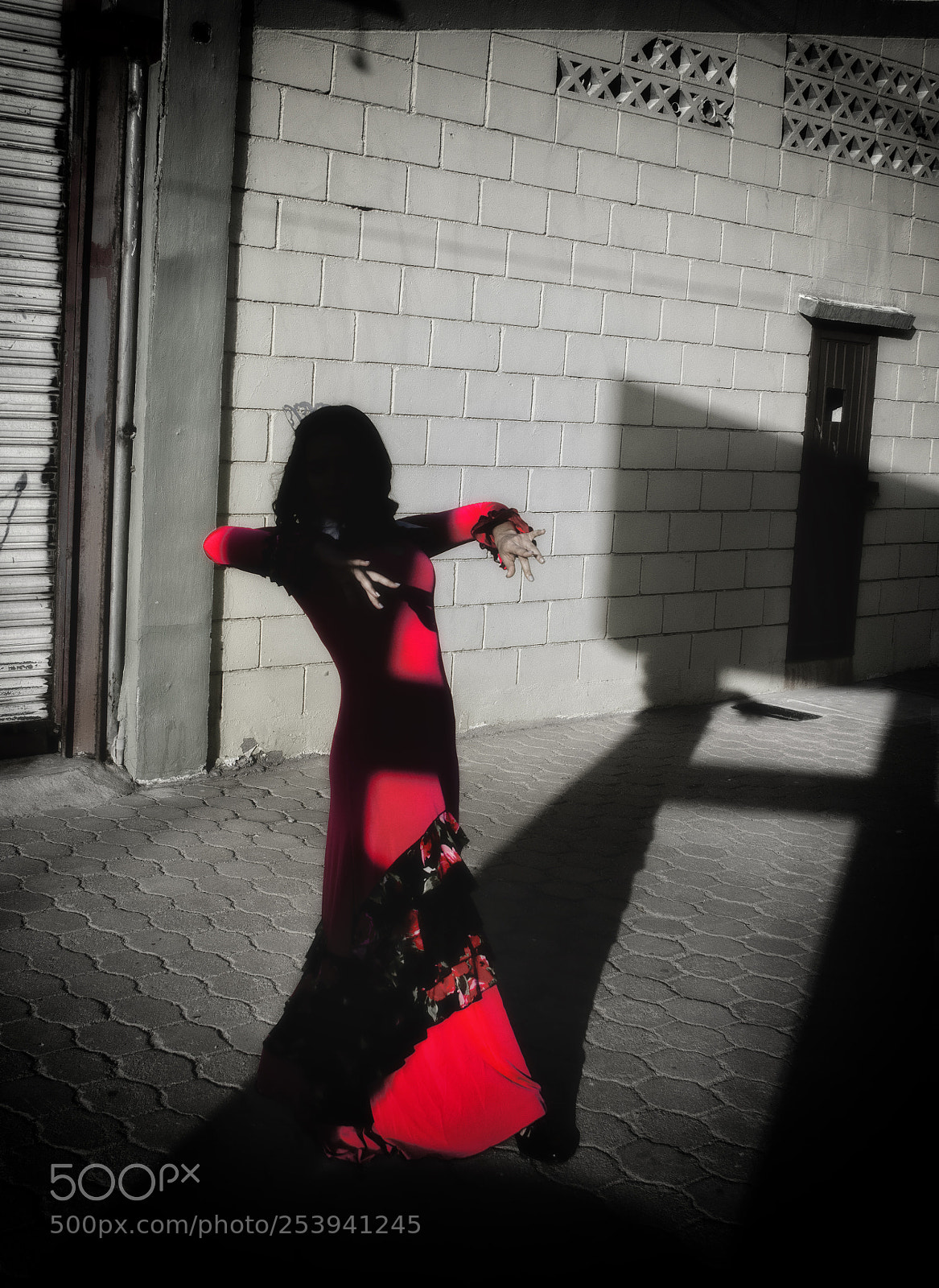 Nikon D5100 sample photo. Flamenco beauty photography