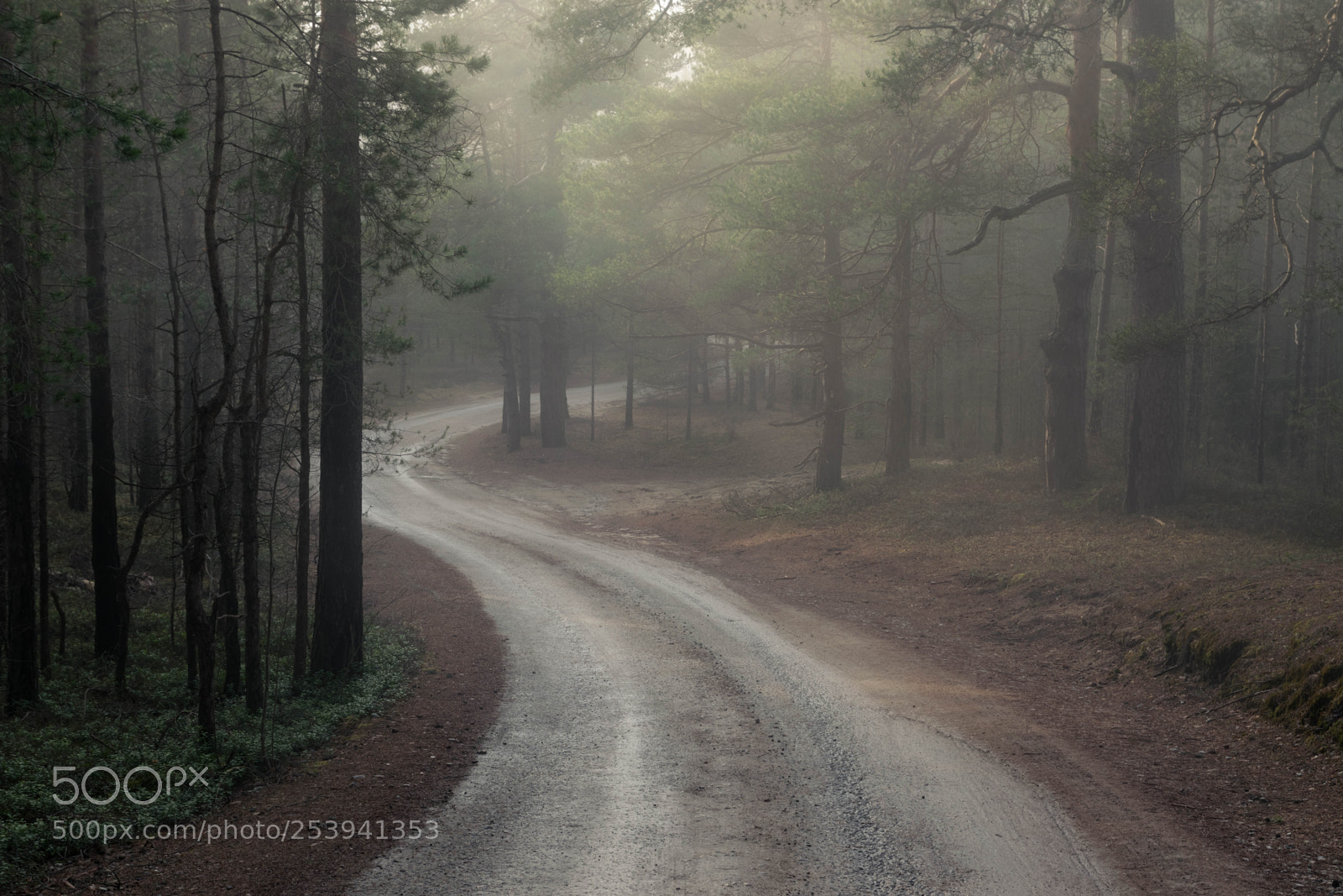 Nikon D3300 sample photo. The silent hill photography