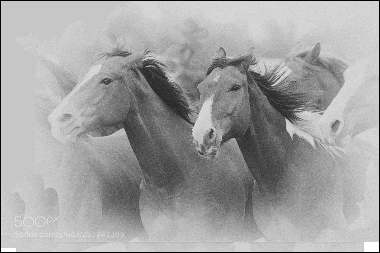 Nikon D300 sample photo. Round up photography