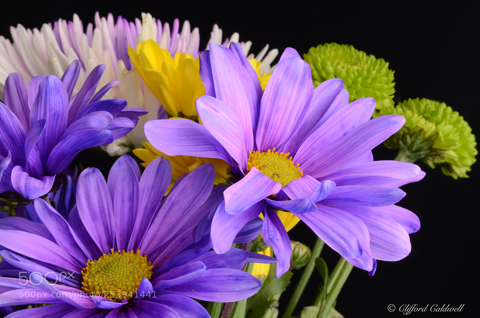 Nikon D7000 sample photo. Spring time photography