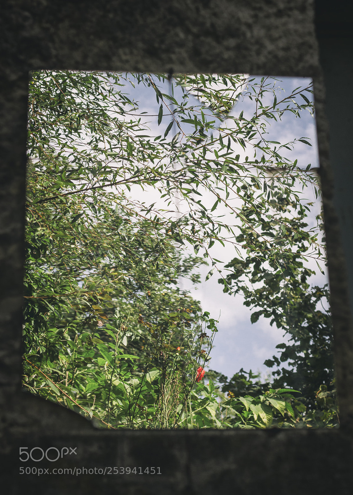 Canon EOS 7D sample photo. Postcard from a reflected photography