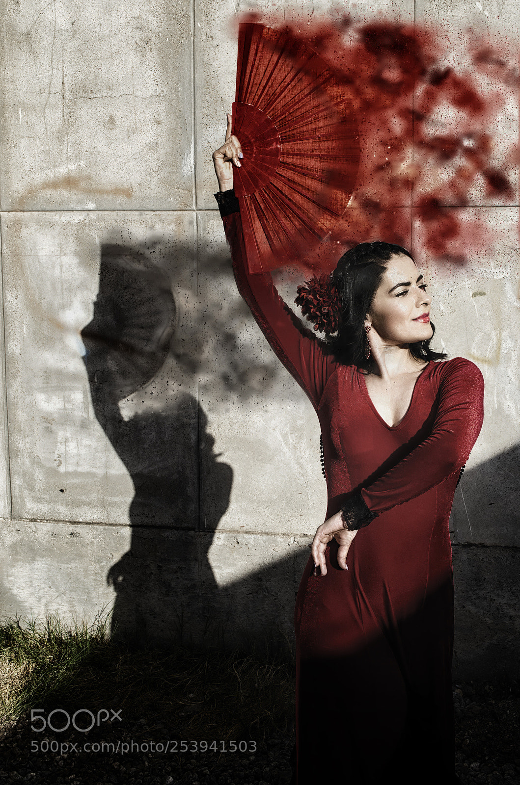 Nikon D5100 sample photo. Flamenco beauty photography