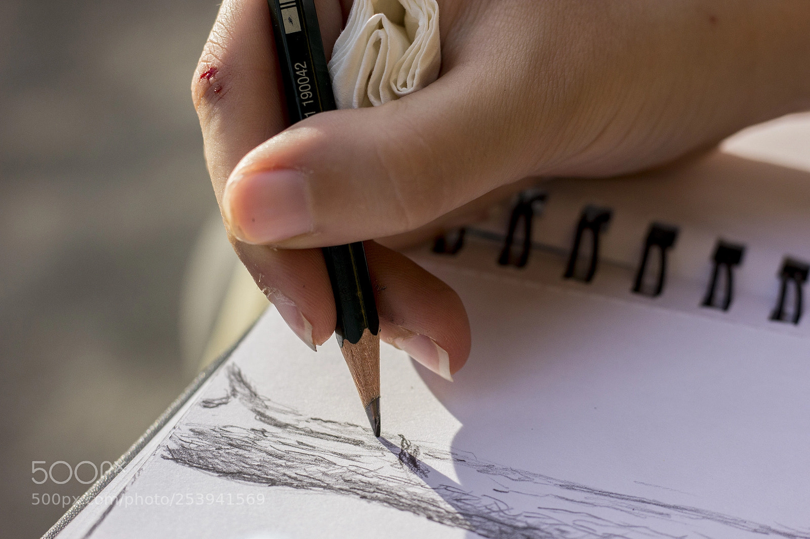 Canon EOS 600D (Rebel EOS T3i / EOS Kiss X5) sample photo. Drawing photography
