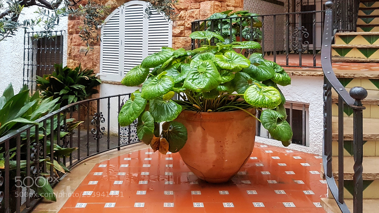 Samsung Galaxy S7 Edge sample photo. Mediterranean style photography