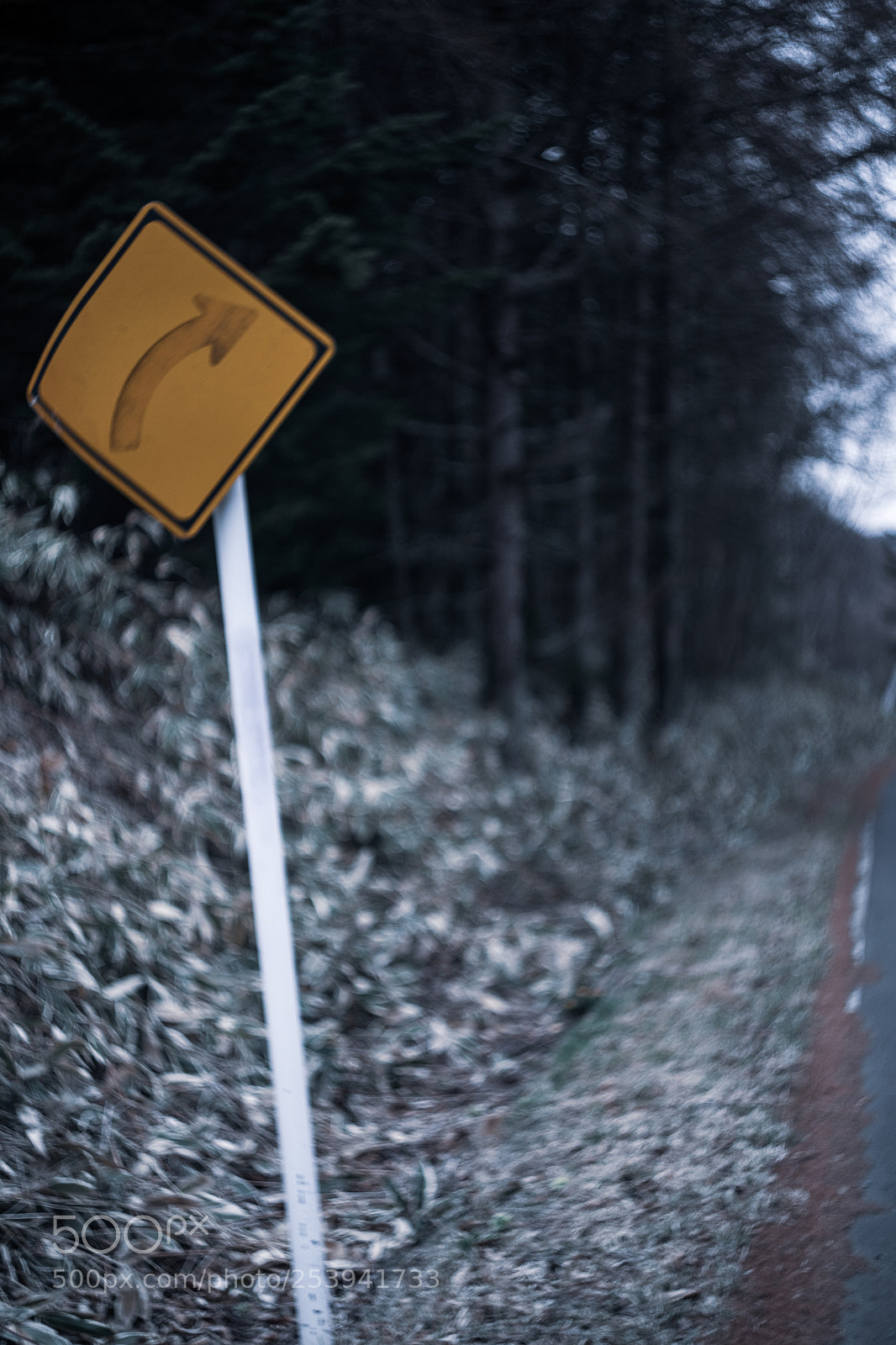Fujifilm X-T1 sample photo. Road sign photography