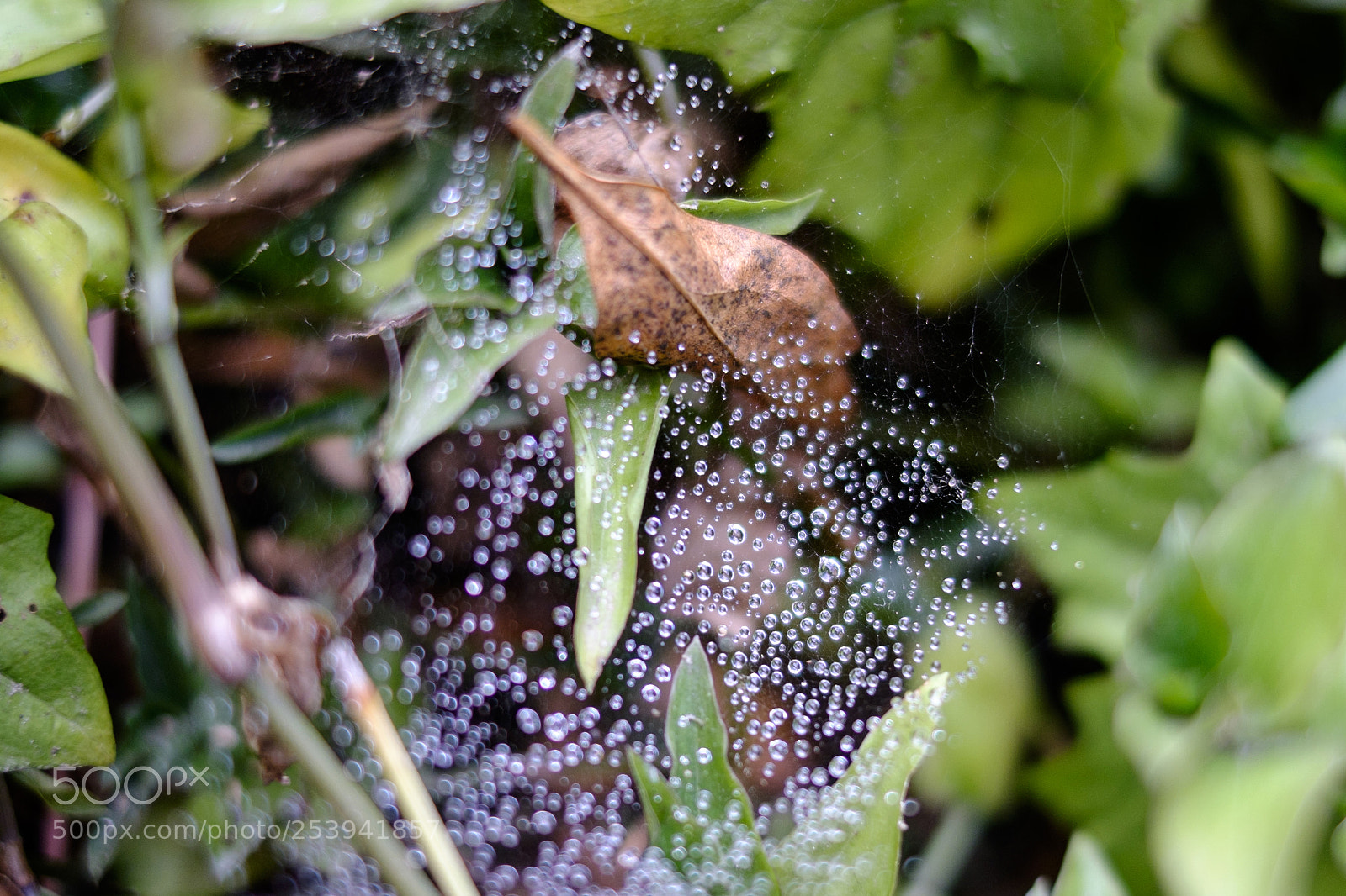 Fujifilm X-T1 sample photo. Minimal geometry photography