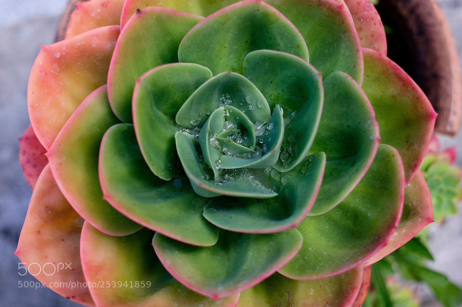 Fujifilm X-T1 sample photo. Minimal geometry photography
