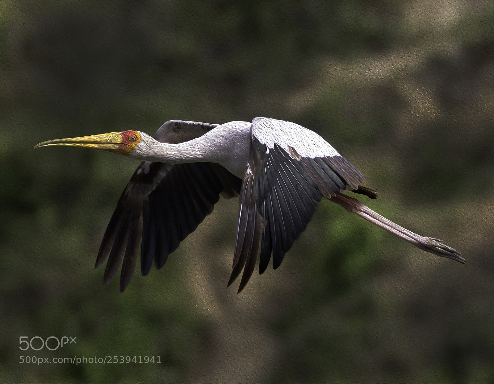 Canon EOS 7D sample photo. The fly by photography