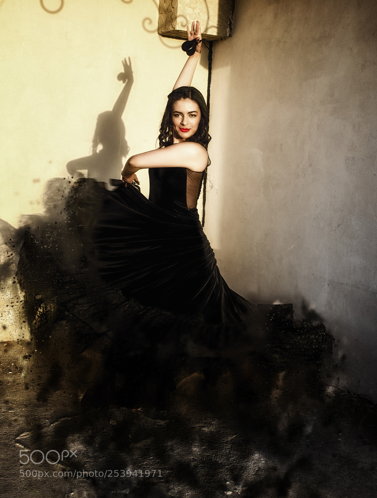 Nikon D5100 sample photo. Flamenco beauty photography