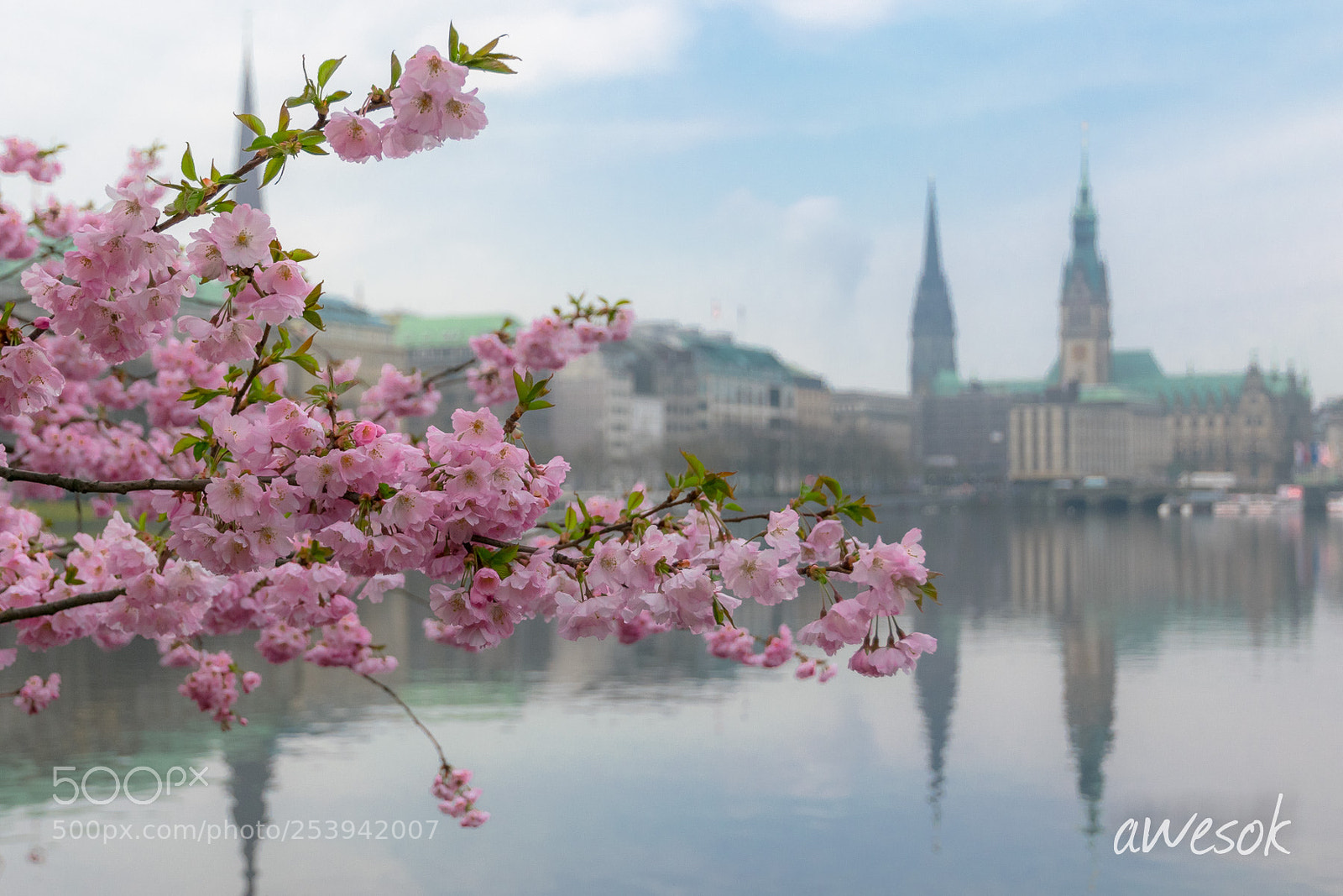 Nikon D3300 sample photo. Spring in hamburg photography