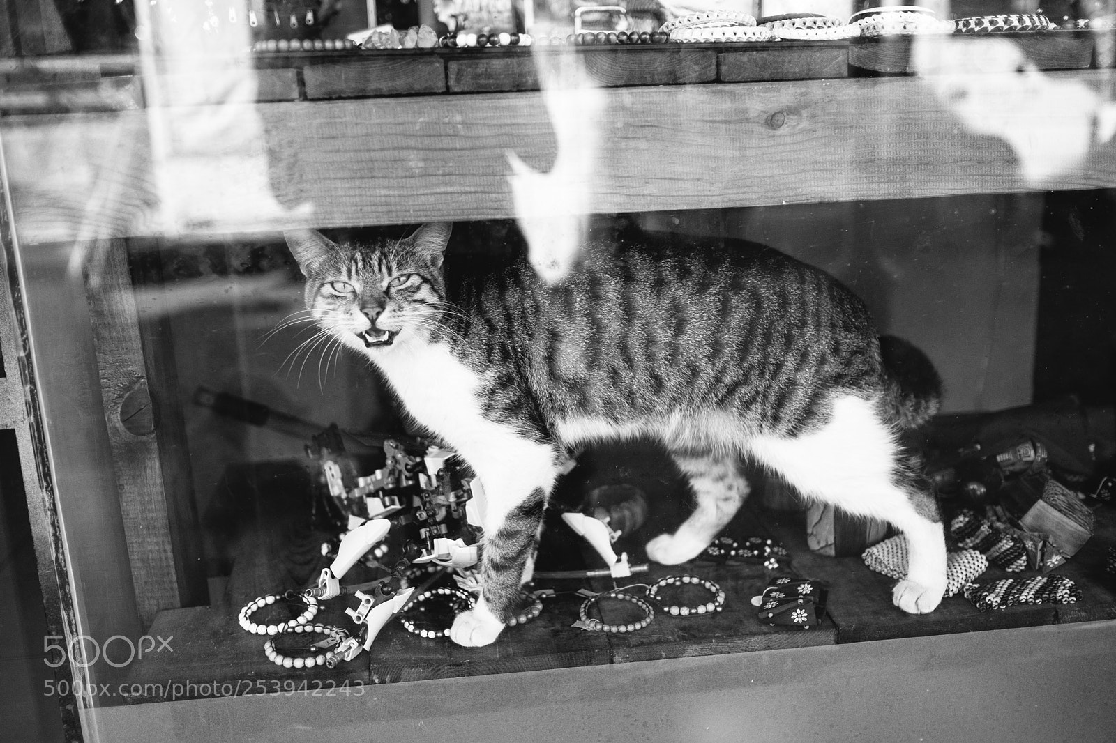 Fujifilm X-Pro2 sample photo. Il piu e il photography