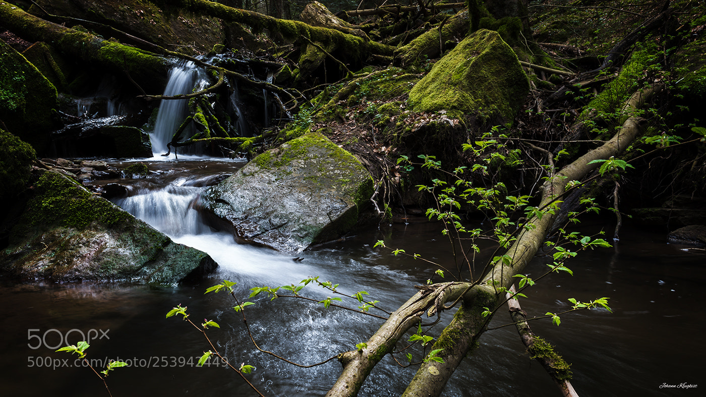 Nikon D800 sample photo. Springtime in h rschbachtal photography