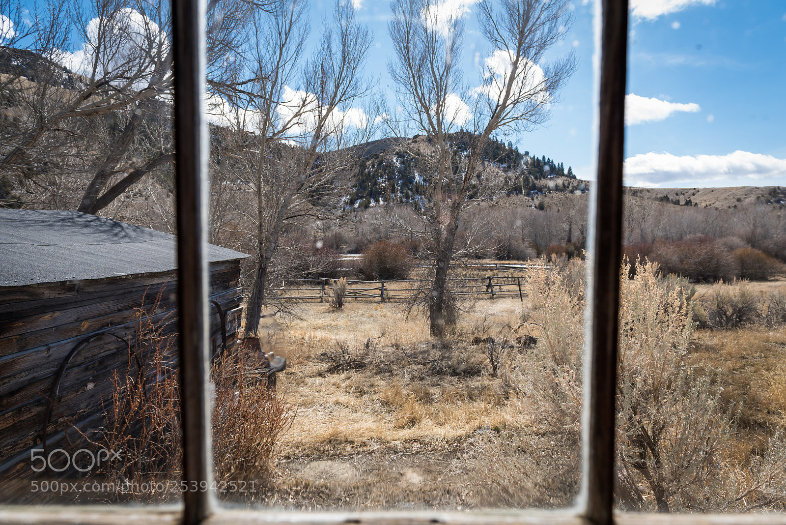 Nikon D810 sample photo. Through the antique glass photography