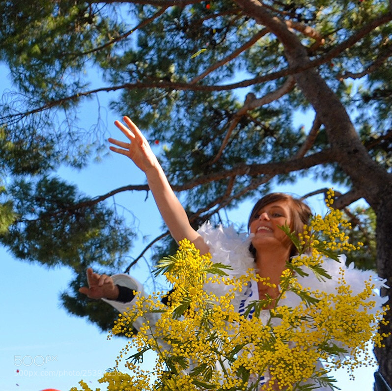 Nikon D7000 sample photo. Untitled photography