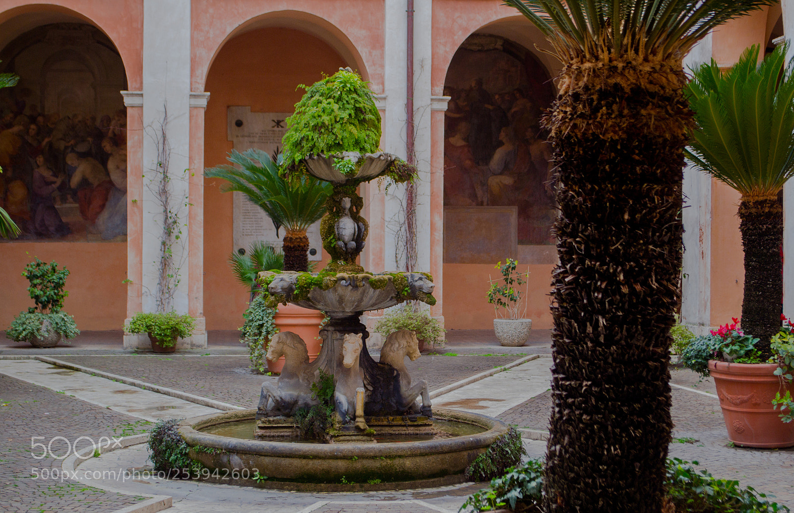 Nikon D3100 sample photo. Fountain of the basilica photography