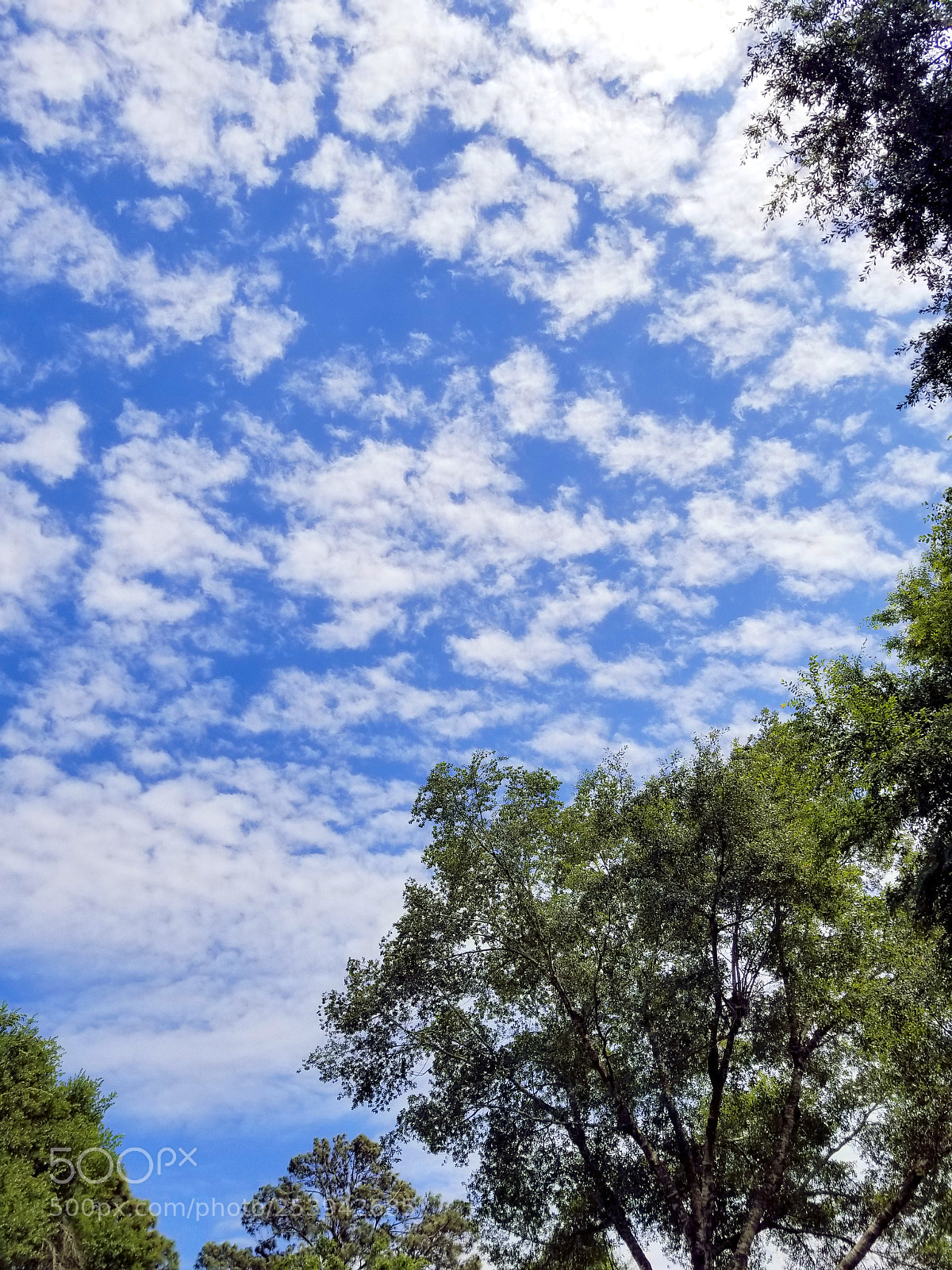 Samsung Galaxy S8+ sample photo. Cascade photography