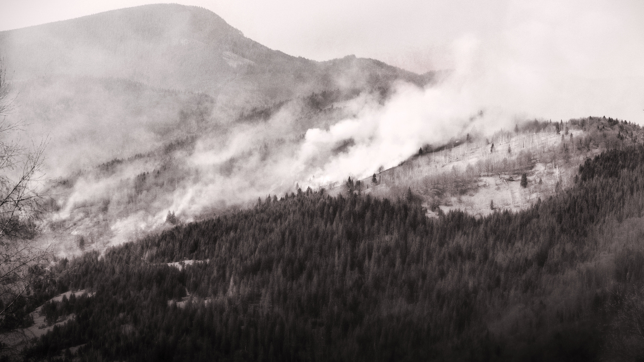 Canon EF-S 55-250mm F4-5.6 IS STM sample photo. Forest in fire photography