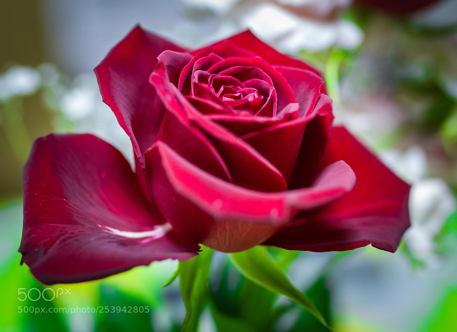 Canon EOS 7D sample photo. Sigma 35mm 1.4 art <3 photography