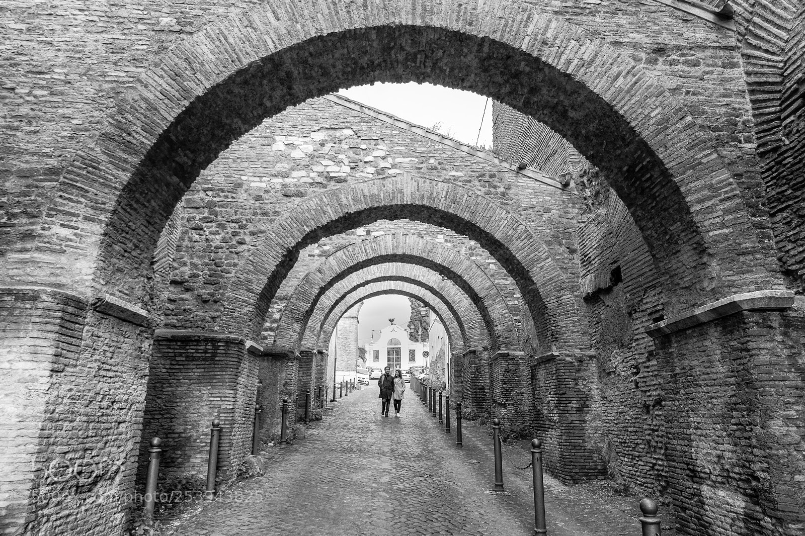 Nikon D5300 sample photo. A walk under the photography