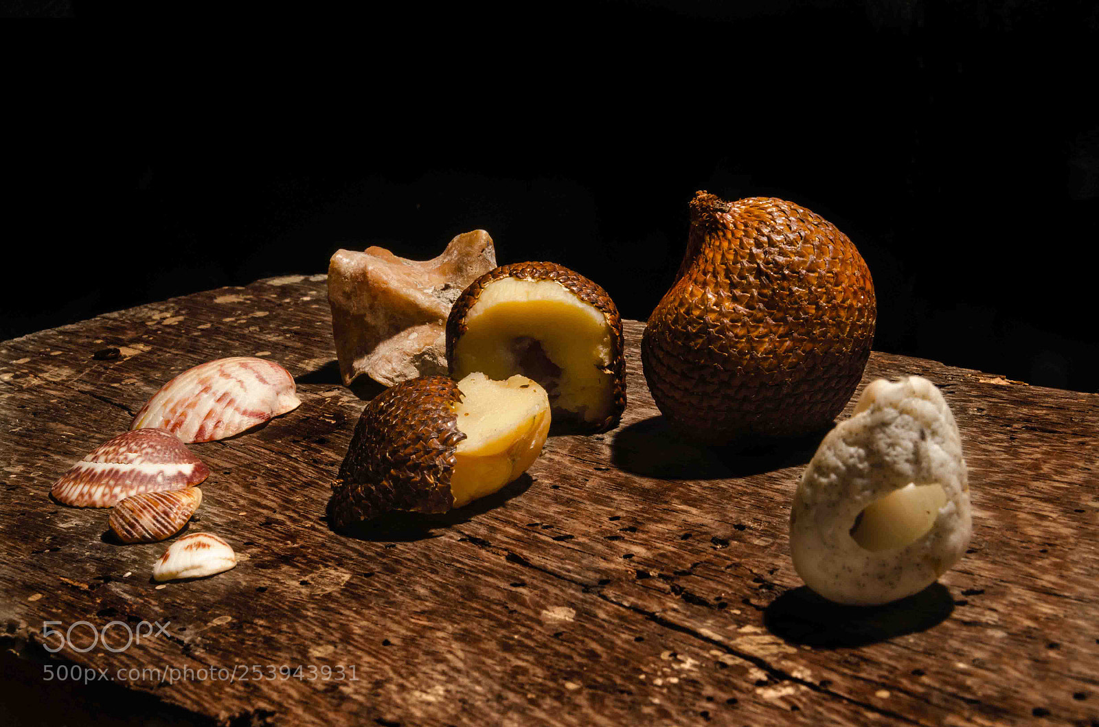 Nikon D5100 sample photo. Bodegon culebra photography