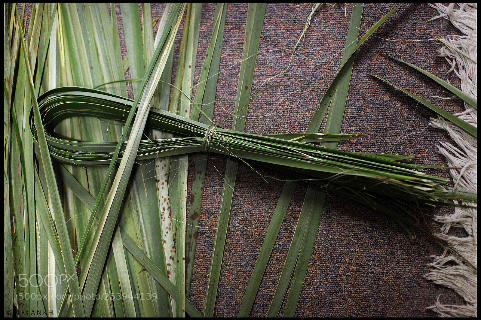 Canon EOS 5D Mark II sample photo. Harakeke photography