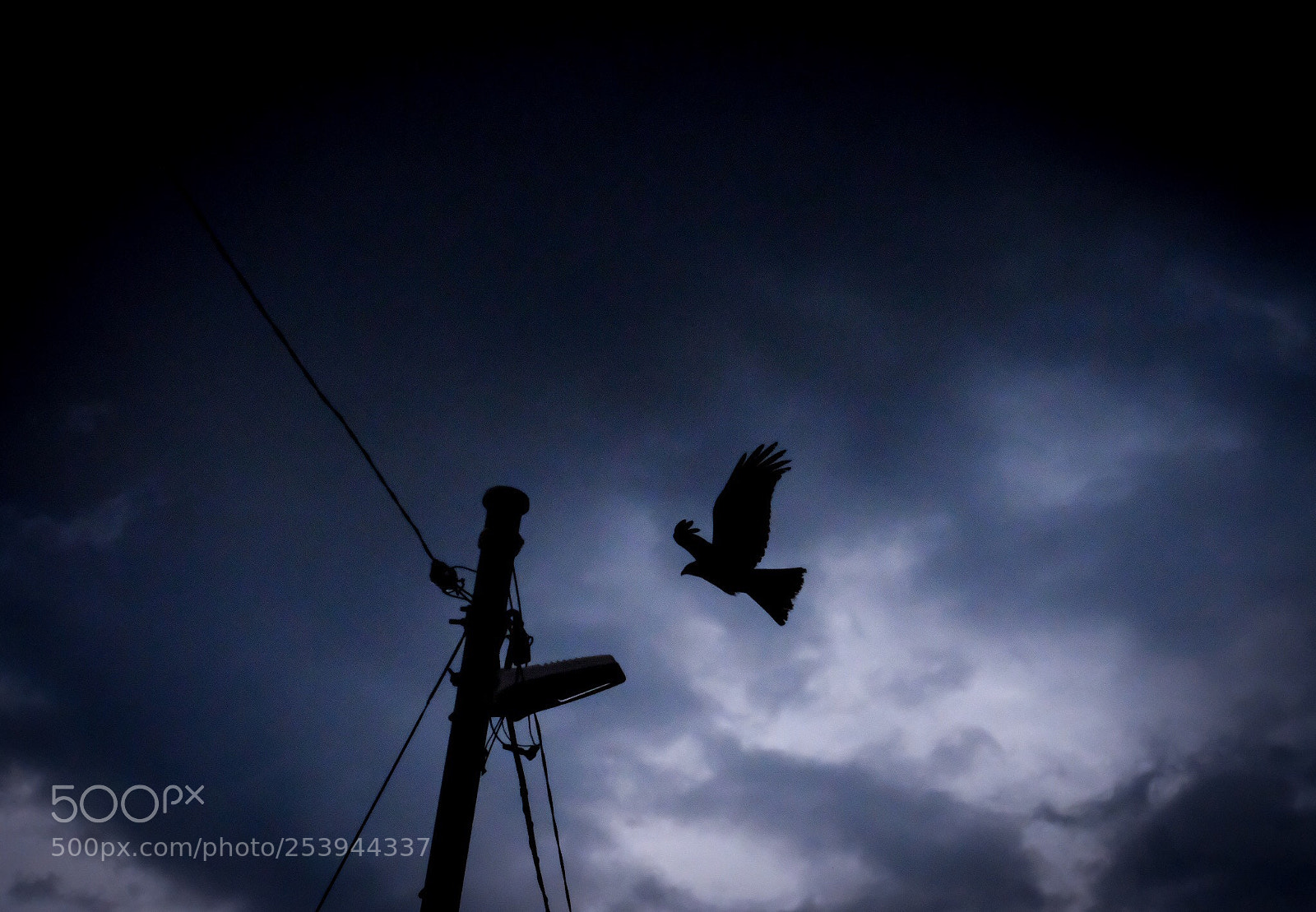 Fujifilm X-T20 sample photo. Enoshima photography