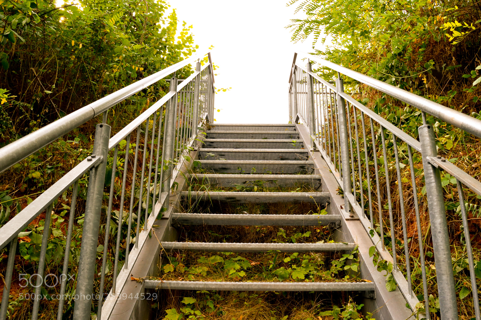 Nikon D3300 sample photo. Stairs to the open photography